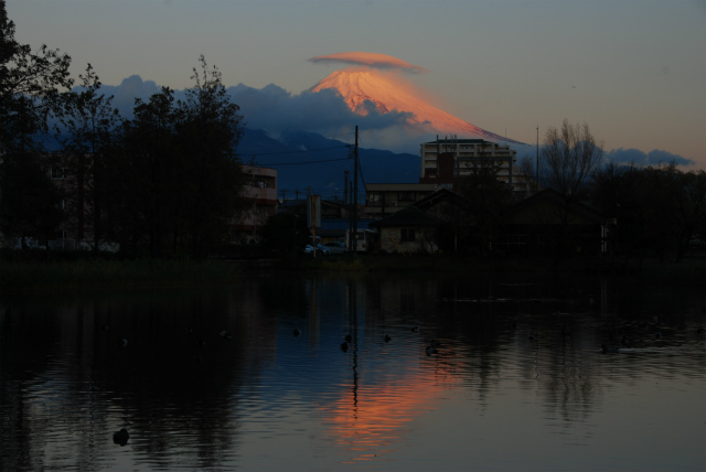 温水池から見る富士山