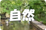 自然
