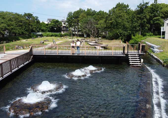 境川・清住緑地