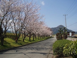 写真：長伏公園