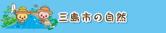 三島の自然