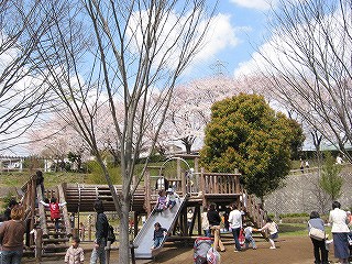 上岩崎公園の写真3