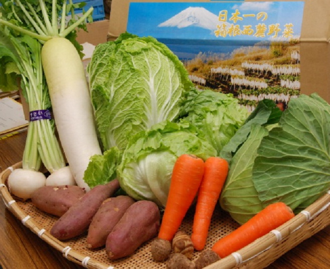 箱根西麓三島野菜