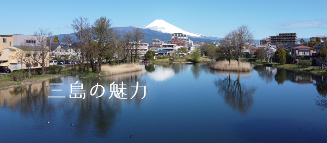 三島の魅力