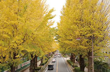 北上エリアの画像