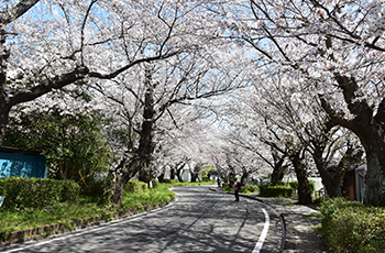 錦田エリアの画像