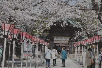 三嶋大社の写真