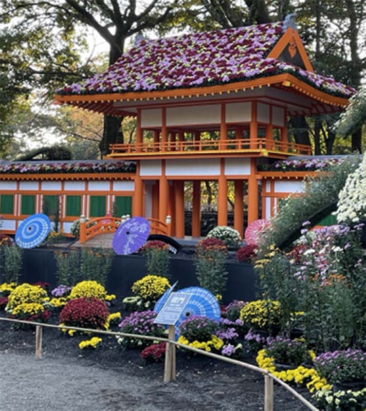 菊まつりの写真