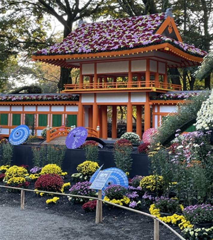 菊まつりの写真