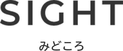 Sight