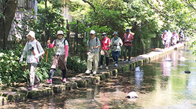 三島の旬を歩くの画像