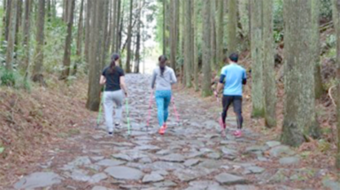 ノルディックウオーキングの画像