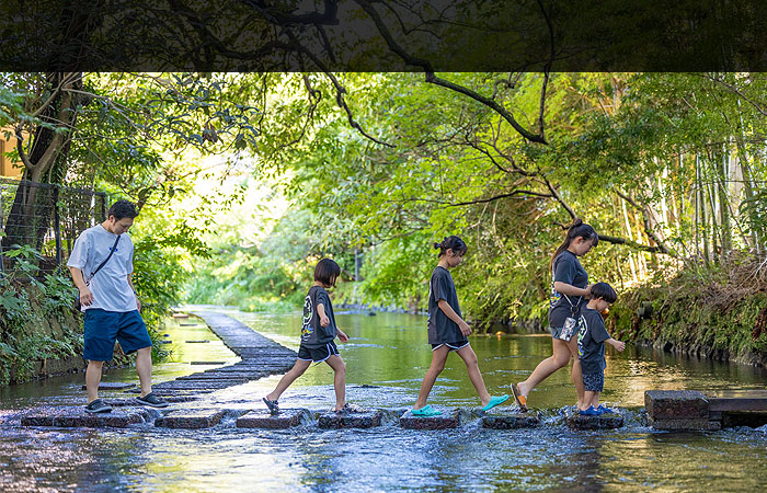 湧水は富士山からの贈り物「水の都三島」の画像
