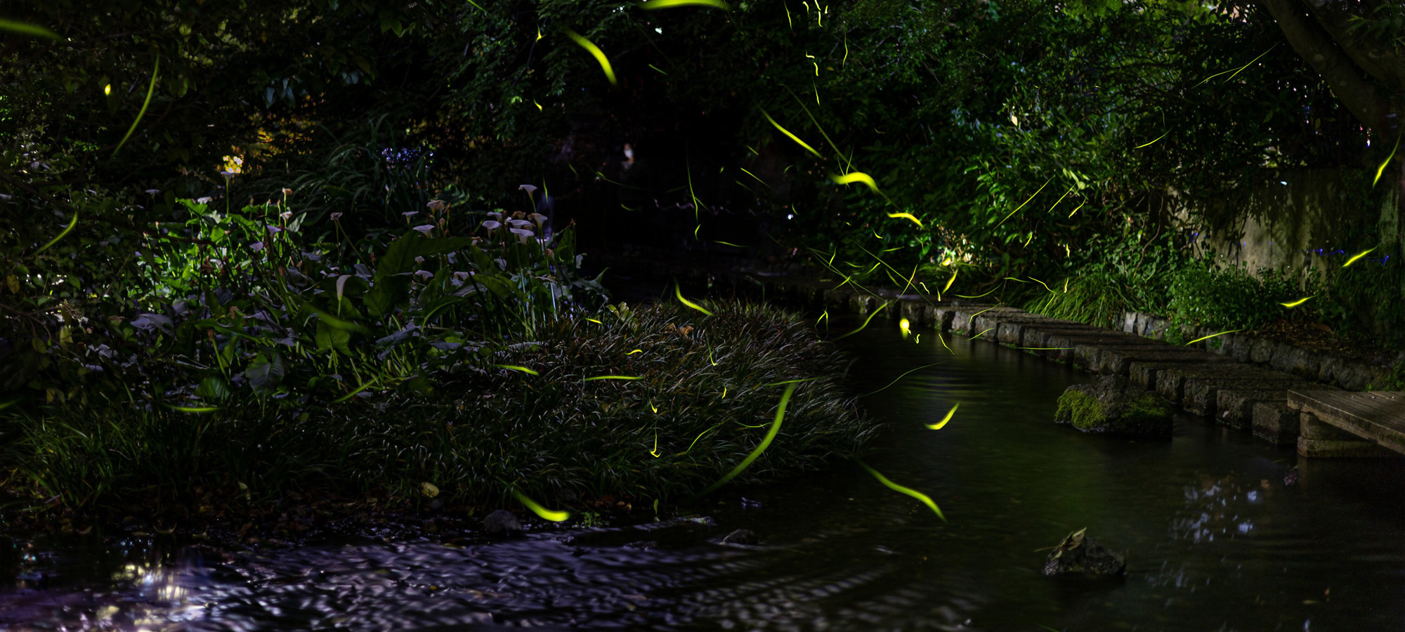 水の都三島 スライド5枚目