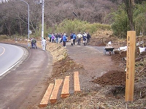 玉沢 （玉沢桜街道）