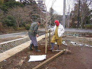 主な品種の画像1