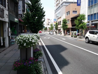 大通り地区の画像2