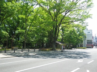 景観重点整備地区とはの画像7