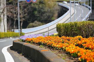 花街道2