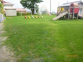 坂幼稚園芝生化後の園庭