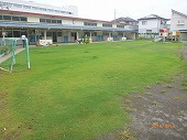 松本幼稚園芝生化後の園庭
