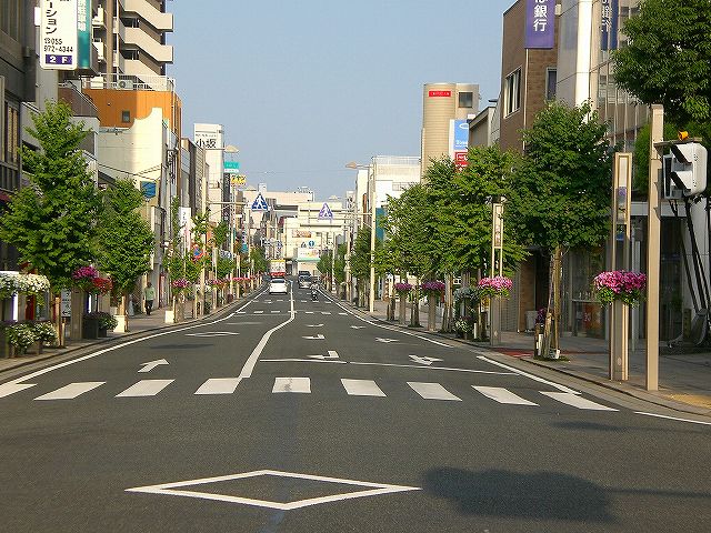 事業内容の画像