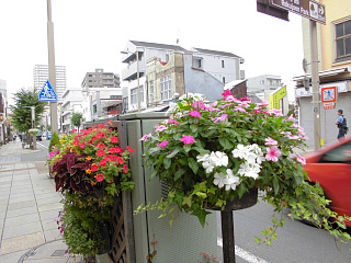 ガーデンシティみしま推進事業　「花飾り事業」 の画像4