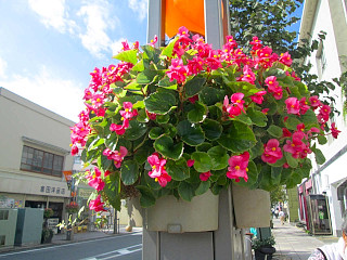 ガーデンシティみしま推進事業　「花飾り事業」 の画像5