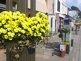   花飾り事業  の画像12