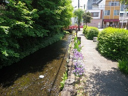 赤橋周辺（御殿川・鎌倉古道）地区の画像1