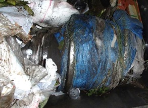 30cm以下としていただく理由の画像1