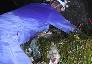 30cm以下としていただく理由の画像2