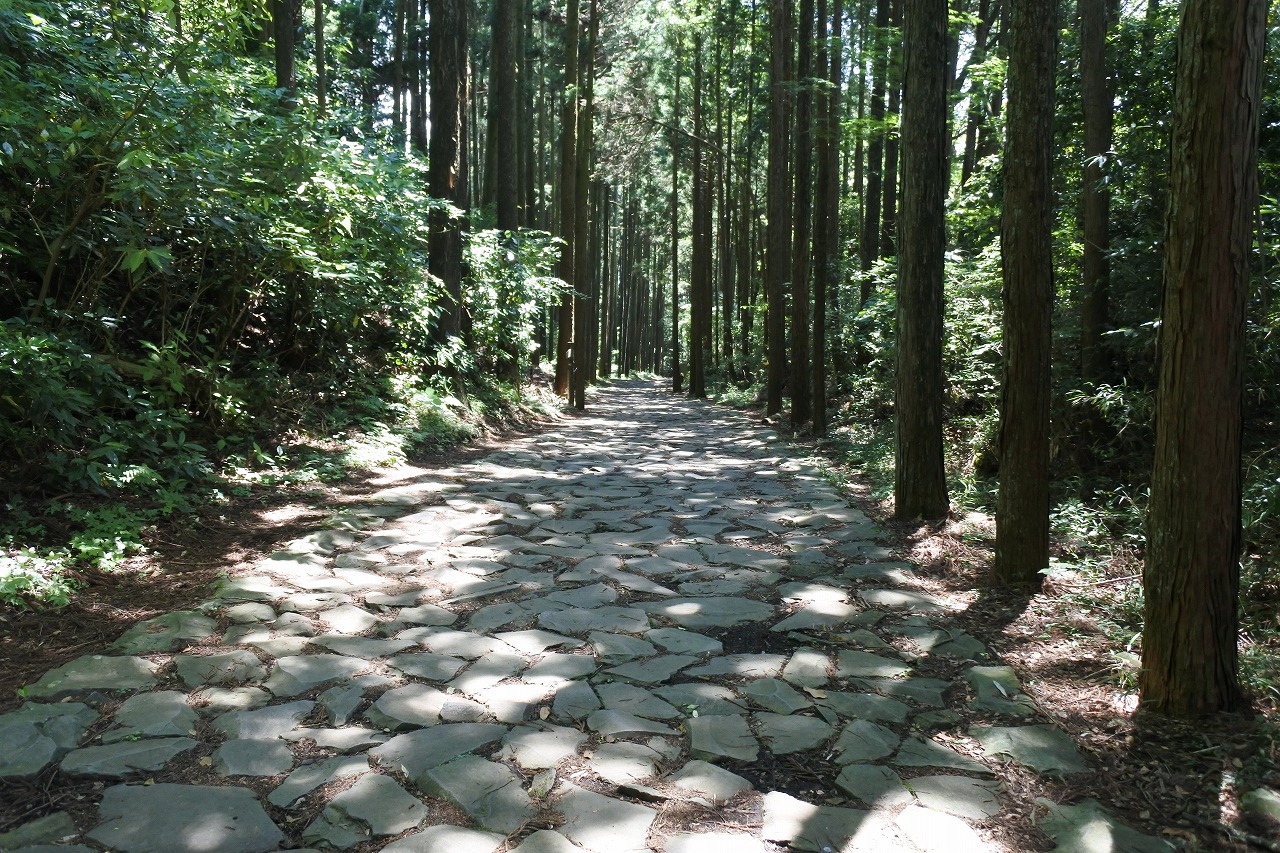 箱根旧街道石畳の画像