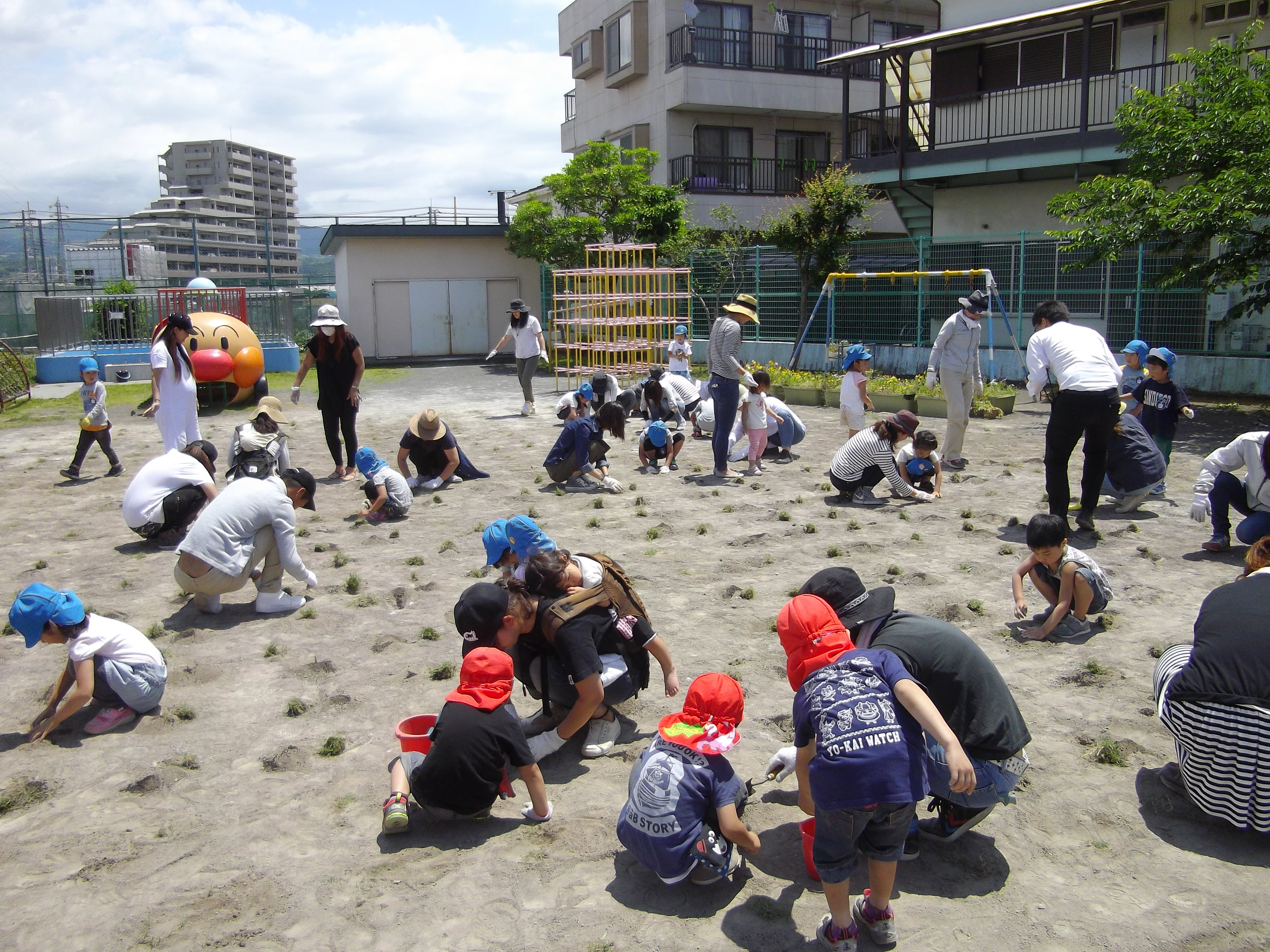 南幼稚園芝の植え付け当日の画像⑦