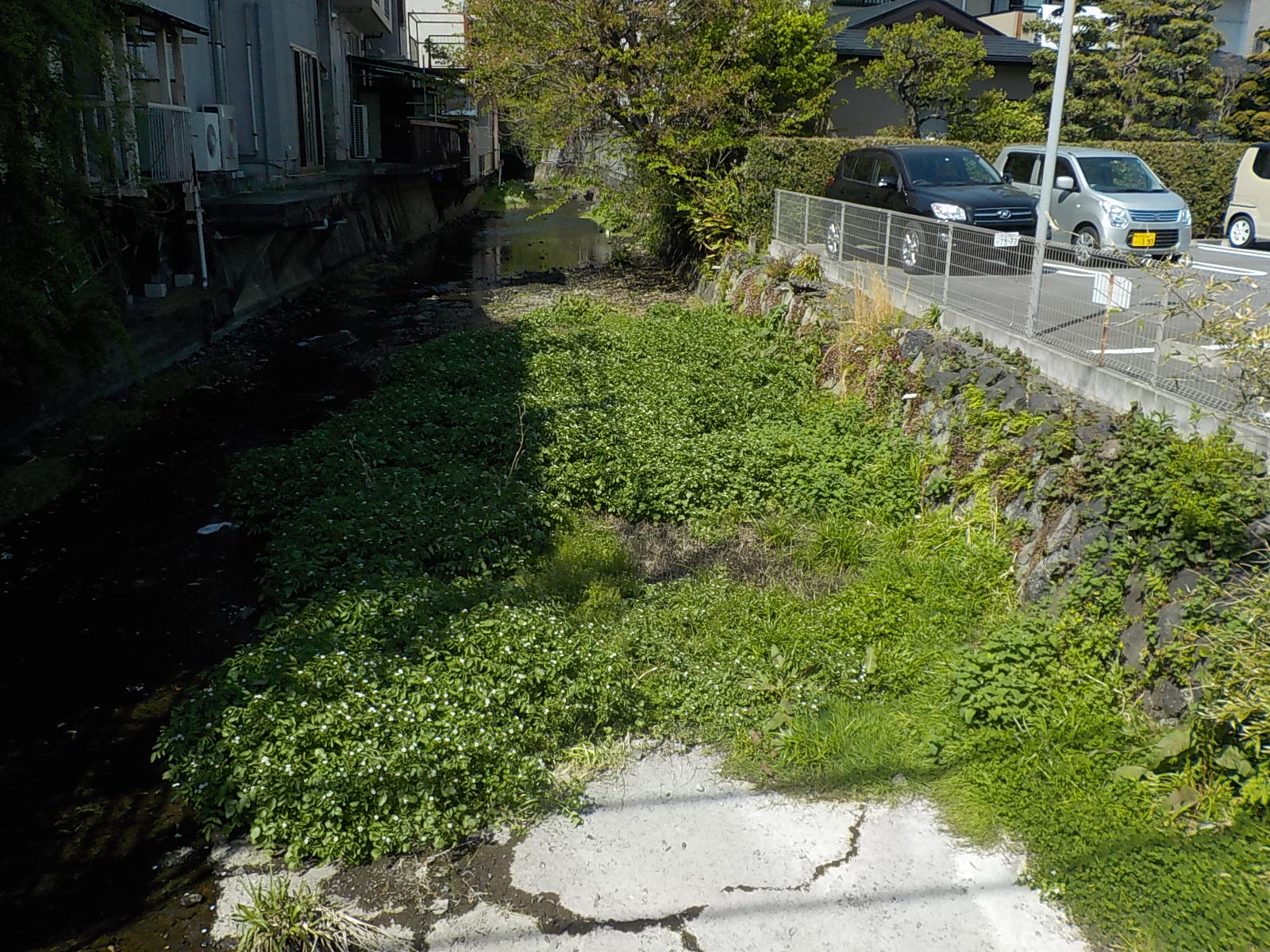 河川のしゅんせつ状況の画像1