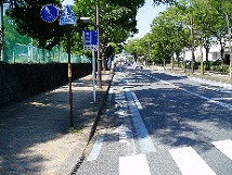 自転車通行帯の画像