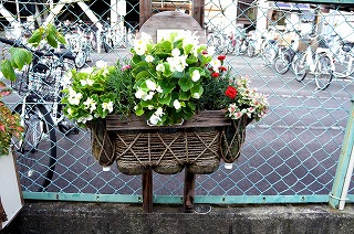 ムーミン谷の広小路3