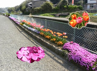 北上エコクラブの画像2