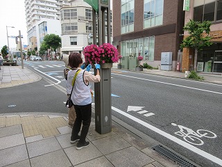 2025年5月16日　花サポ管理作業1