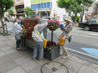 2025年5月16日　花サポ管理作業2