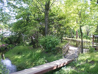 水の苑緑地 の画像