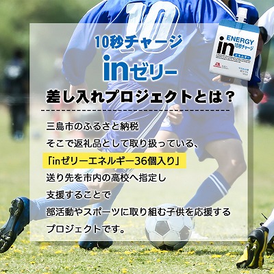 プロジェクトの概要の画像