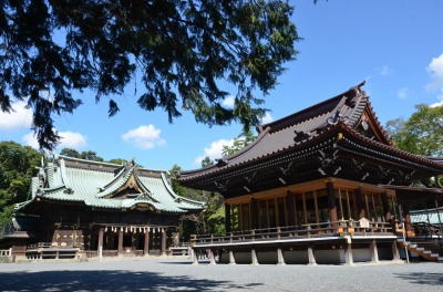 国01aa　三嶋大社本殿、幣殿及び拝殿（市01　三嶋大社　舞殿他）