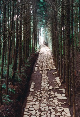 国20　箱根旧街道　腰巻地区