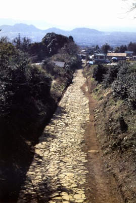 国20　箱根旧街道　笹原地区