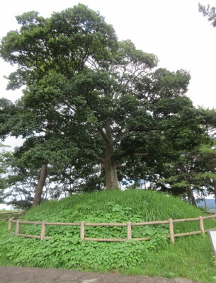 国20　箱根旧街道　錦田一里塚