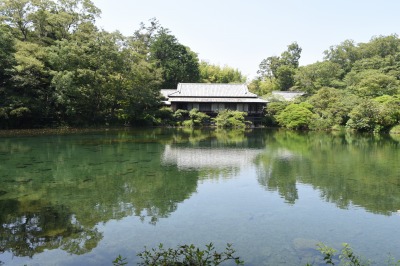 国23aa　楽寿園小浜池