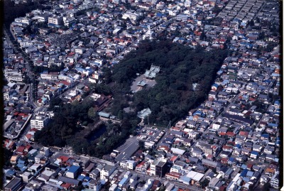 市45aa　三嶋大社社叢