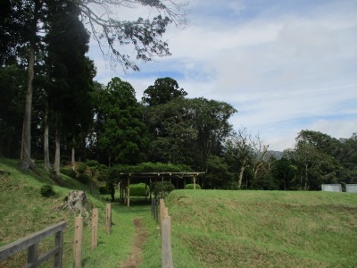 市49aa　矢立の杉　現在