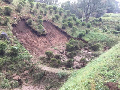 山中城跡　西ノ丸南堀　被災
